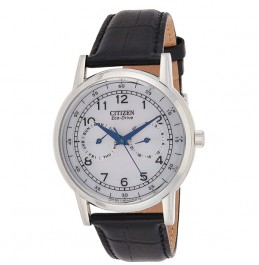CITIZEN ECO-DRIVE MULTI FUNCTION DAY & DATE 42mm- AO9000-06B
