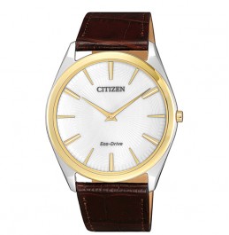 CITIZEN ECO-DRIVE STILETTO 39mm- AR3074-03A