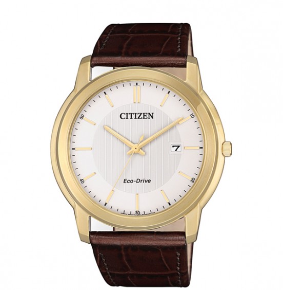 CITIZEN ECO-DRIVE STANDARD 39mm- AW1212-10A