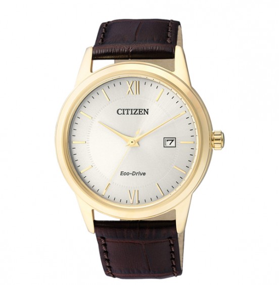 CITIZEN ECO-DRIVE STANDARD 40mm- AW1232-12A