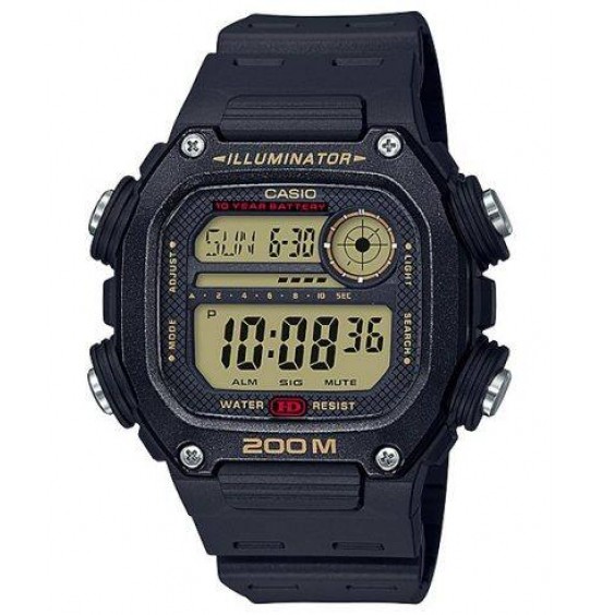 CASIO STANDARD DW291H-9A