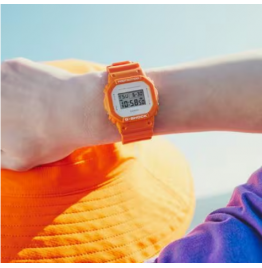  Casio G-SHOCK 5600 SERIES - DW5600WS-4D