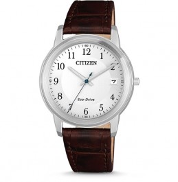 CITIZEN ECO-DRIVE STANDARD 33.3mm- FE6011-81L