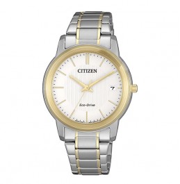 CITIZEN ECO-DRIVE STANDARD 33.3mm- FE6016-88A